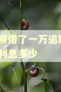 借呗借了一万逾期3年利息多少