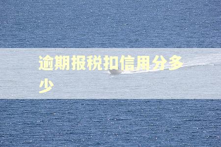 逾期报税扣信用分多少