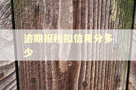 逾期报税扣信用分多少
