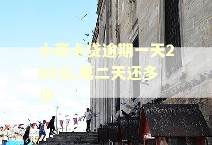小赢卡贷逾期一天200元,第二天还多少
