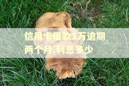 信用卡借款1万逾期两个月,利息多少