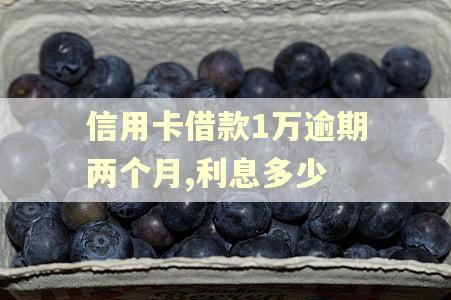 信用卡借款1万逾期两个月,利息多少