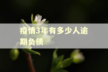 疫情3年有多少人逾期负债 疫情3年有多少人逾期负债