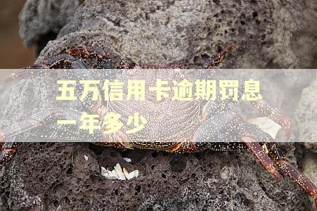 五万信用卡逾期罚息一年多少