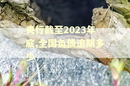央行截至2023年底,全国负债逾期多少