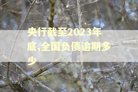 央行截至2023年底,全国负债逾期多少