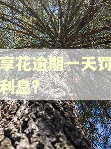宜享花逾期一天罚多少利息?