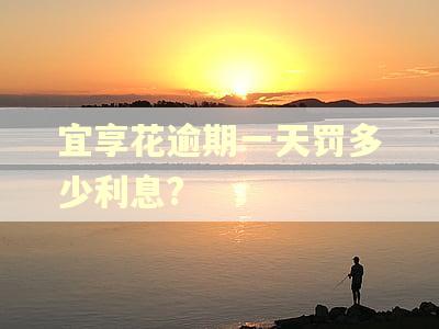 宜享花逾期一天罚多少利息?