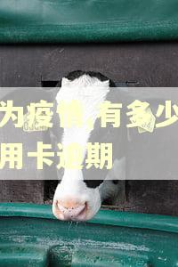 因为疫情,有多少人信用卡逾期 因为疫情,有多少人信用卡逾期