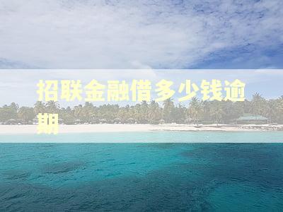 招联金融借多少钱逾期
