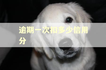 逾期一次扣多少信用分