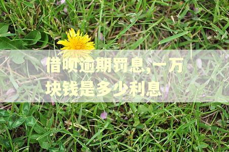 借呗逾期罚息,一万块钱是多少利息