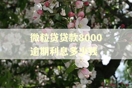 微粒贷贷款8000逾期利息多少钱