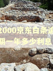 2000京东白条逾期一年多少利息