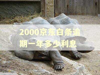 2000京东白条逾期一年多少利息
