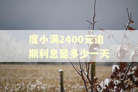 度小满2400元逾期利息是多少一天