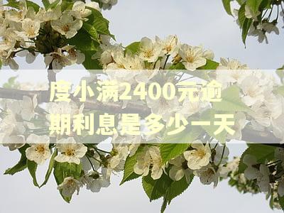 度小满2400元逾期利息是多少一天
