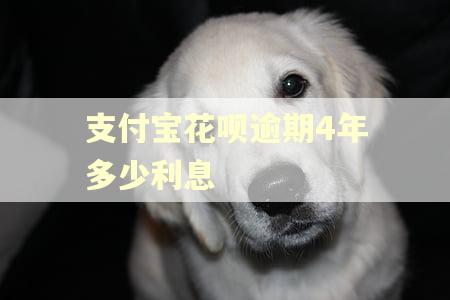 支付宝花呗逾期4年多少利息