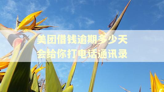 美团借钱逾期多少天会给你打电话通讯录