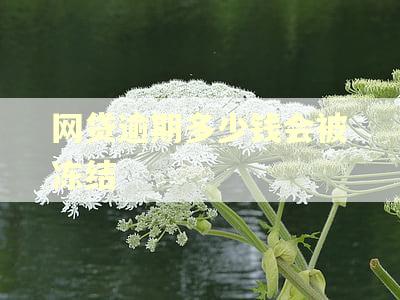 网贷逾期多少钱会被冻结