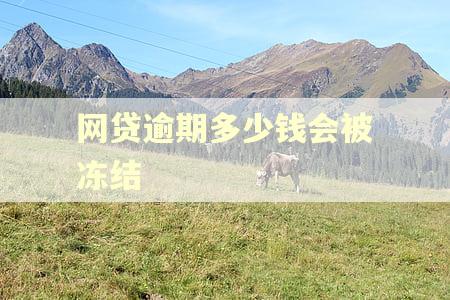 网贷逾期多少钱会被冻结