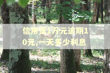信用贷1万元逾期10元,一天多少利息