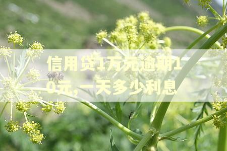 信用贷1万元逾期10元,一天多少利息 信用贷1万元逾期10元,一天多少利息