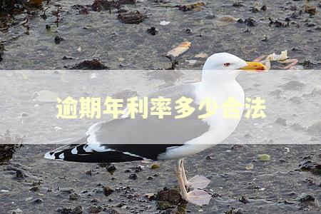 逾期年利率多少合法