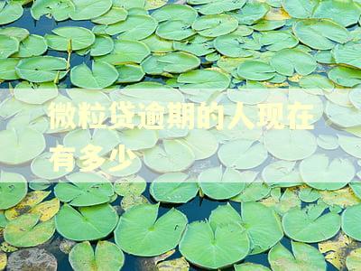 微粒贷逾期的人现在有多少