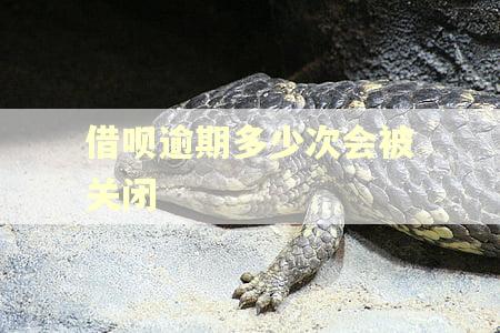 借呗逾期多少次会被关闭