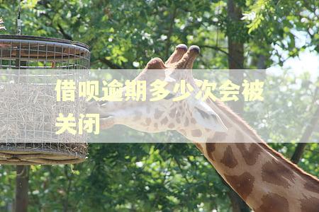 借呗逾期多少次会被关闭
