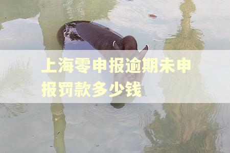 上海零申报逾期未申报罚款多少钱 上海零申报逾期未申报罚款多少钱