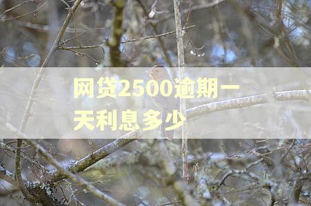 网贷2500逾期一天利息多少
