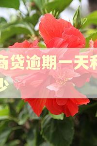 网商贷逾期一天利息多少