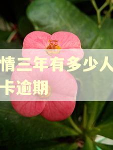 疫情三年有多少人信用卡逾期