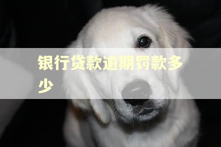 银行贷款逾期罚款多少