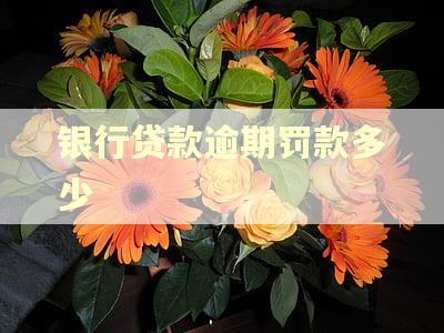 银行贷款逾期罚款多少