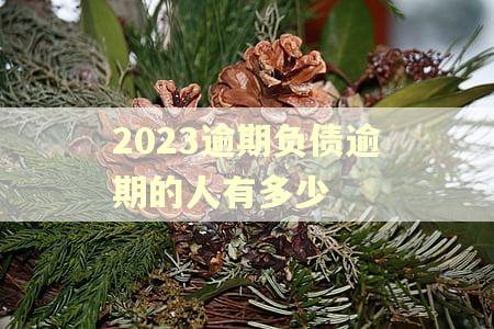 2023逾期负债逾期的人有多少
