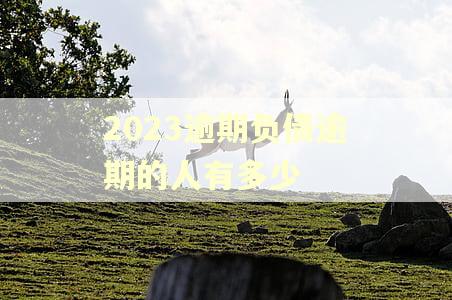 2023逾期负债逾期的人有多少