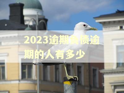 2023逾期负债逾期的人有多少