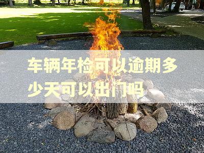 车辆年检可以逾期多少天可以出门吗