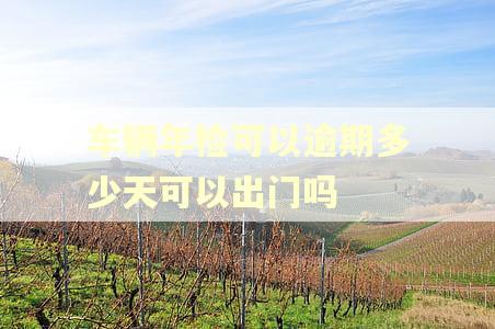 车辆年检可以逾期多少天可以出门吗