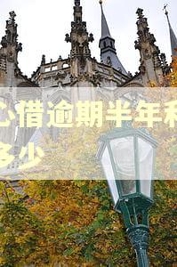 放心借逾期半年利息是多少