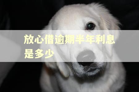 放心借逾期半年利息是多少