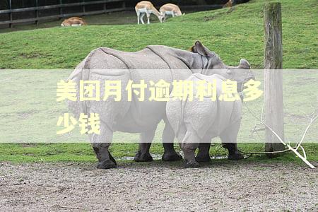 美团月付逾期利息多少钱