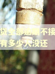 网贷全部逾期不接电话有多少人没还