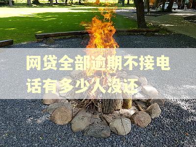 网贷全部逾期不接电话有多少人没还