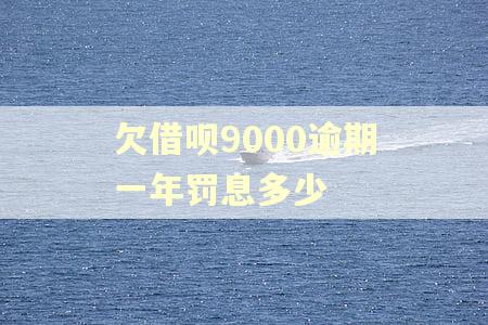 欠借呗9000逾期一年罚息多少