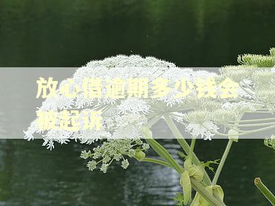 放心借逾期多少钱会被起诉