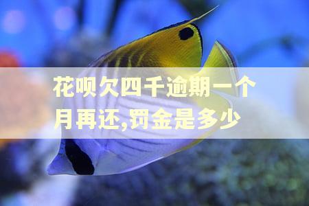 花呗欠四千逾期一个月再还,罚金是多少